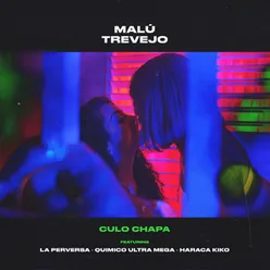 Culo Chapa (feat. La Perversa, Quimico Ultra Mega & Haraca Kiko)