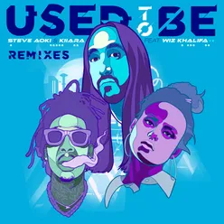 Used To Be (feat. Wiz Khalifa) Hairy Steve Aoki Remix