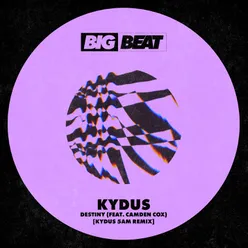 Destiny (feat. Camden Cox) Kydus 5am Remix