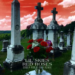 Red Roses Sober Rob & Oshi Remix