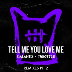 Tell Me You Love Me Ari Remix