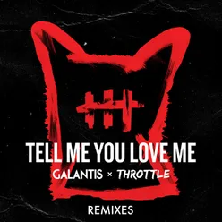 Tell Me You Love Me Remixes