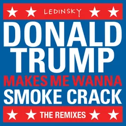 DonaldTrumpMakesMeWannaSmokeCrack Petals Remix