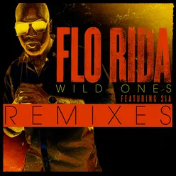 Wild Ones (feat. Sia) Basto Remix