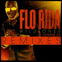 Wild Ones (feat. Sia) Alex Guesta Remix