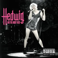 Hedwig And The Angry Inch Original Cast Recording