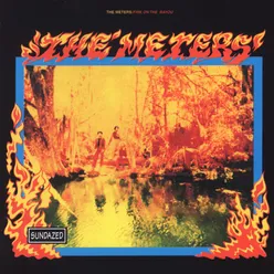 Funkify Your Life:  The Meters Anthology