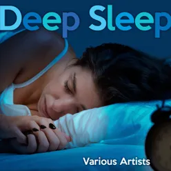 Deep Sleep