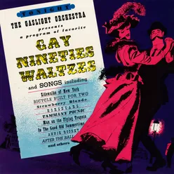 Gay Nineties Waltzes Remastered from the Original Somerset Tapes
