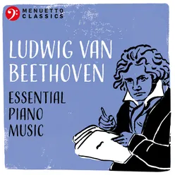 Piano Sonata No. 1 in F Minor, Op. 2, No. 1: IV. Prestissimo