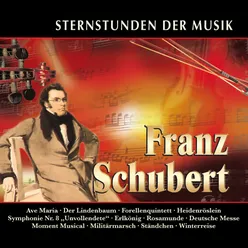 Schwanengesang, D. 957: 4. Ständchen "Leise flehen meine Lieder" Arr. for String Orchestra