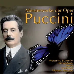 Madama Butterfly, Act II: "Una nave da guerra" (Flower Duet)