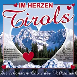 Tirol isch lei oans