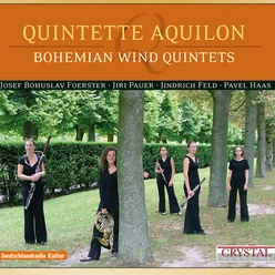 Wind Quintet No. 2: II. Andante