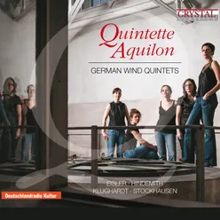 Divertimento for Woodwind Quintet, Op. 4: V. Variation 3