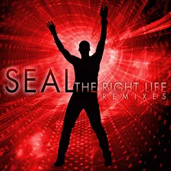 The Right Life Eddie Amador's All About Seal Remix