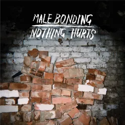 Nothing Used To Hurt Album