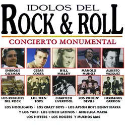 Idolos del Rock & Roll