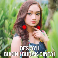 Bucin (Budak Cinta)