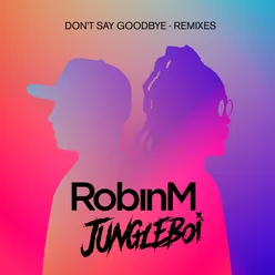 Don't Say Goodbye Remixes