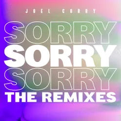 Sorry (The Remixes) Part 1