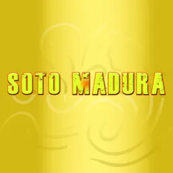 Soto Madura