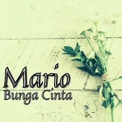 Bunga Cinta