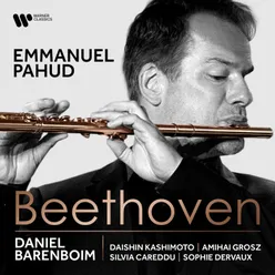 Beethoven: Works for Flute