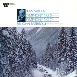 Sibelius: Symphony No. 5 in E-Flat Major, Op. 82: II. Andante mosso, quasi allegretto