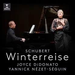 Schubert: Winterreise, Op. 89, D. 911: No. 9, Irrlicht