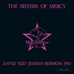 Heartland David 'Kid' Jensen Session, London, 1983, Live