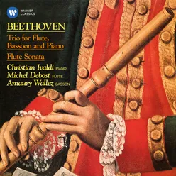 Beethoven: Flute Sonata in B-Flat Major, Anh. 4: IV. Tema con variazioni. Allegretto