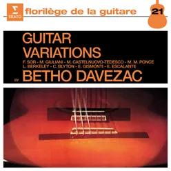 Guitar Variations