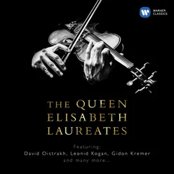 Violin Concerto in D Minor, Op. 47: I. Allegro moderato