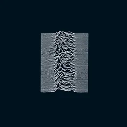 Unknown Pleasures 2019 Digital Master