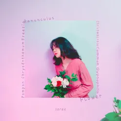 Flower Piano Version