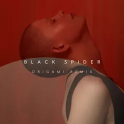 Black Spider Origami Remix