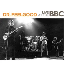 You Shouldn't Call The Doctor (If You Can't Afford The Bills) BBC Live Session