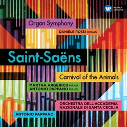 Symphony No. 3 in C Minor, Op. 78 "Organ Symphony": I. (b) Poco adagio