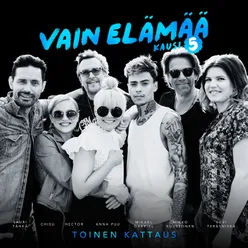 Vaiettu rakkaus (Vain elämää kausi 5)