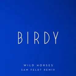 Wild Horses Sam Feldt Remix