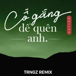 Cố Gắng Để Quên Anh (Trngz Remix)