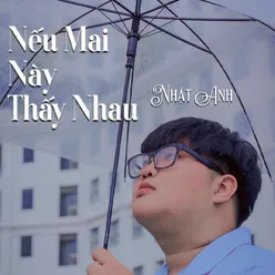 Nếu Mai Này Thấy Nhau