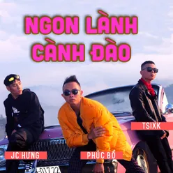 Ngon Lành Cành Đào Beat Version