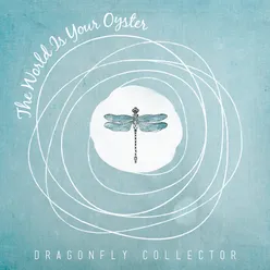 Dragonfly Collector