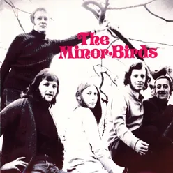 The Minor Birds