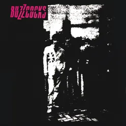 Buzzcocks Expanded Edition