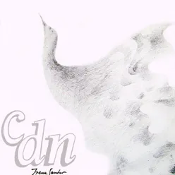 C.D.N.