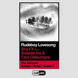 Rudeboy Lovesong (feat. Sweetie Irie and Cara Delevingne) Break Remix