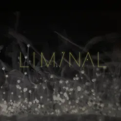 Varúð Liminal Remix